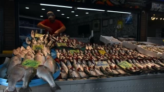 Palamut tezgahları süsledi, fiyatlar yarıya düştü