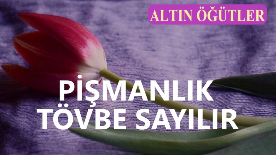 �Pi�manl�k t�vbe say�l�r�