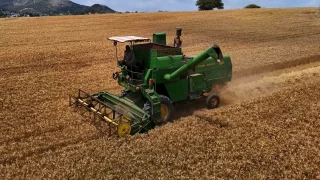 Rekolte ok dk ifti 20 TL fiyat bekliyor