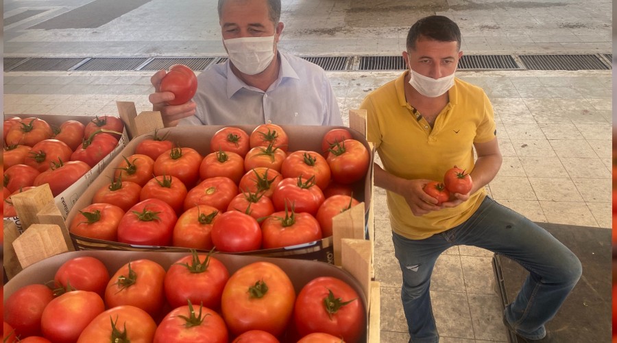 Sarıcakaya domatesi piyasayı rahatlattı