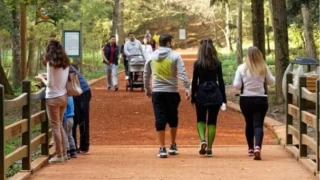 Şehirde Yürümek Sağlığa İyi Geliyor