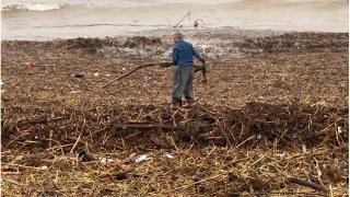 Sel sonras� deniz kahverengi oldu, sahiller odun doldu