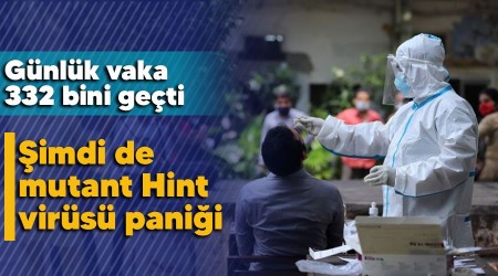 imdi de mutant Hint virs panii, gnlk vaka 332 bini geti