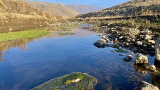 Sonbaharda sararan yapraklar grsel len oluturdu