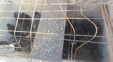 Su deposunda 24 yabancı yakalandı