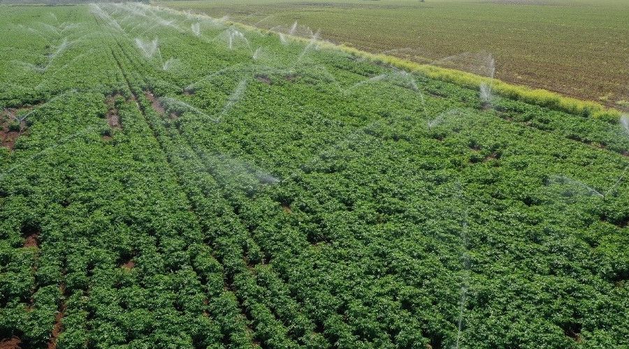 Sulama sistemlerine yüzde 50 hibe verilecek