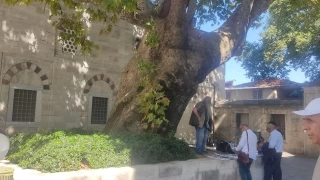 Tam 59 yıldır Beyazıt’ta aynı noktada duruyor