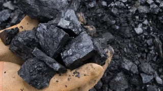 Ta Kmr: Zonguldakn damarlarnda dolaan bir miras
