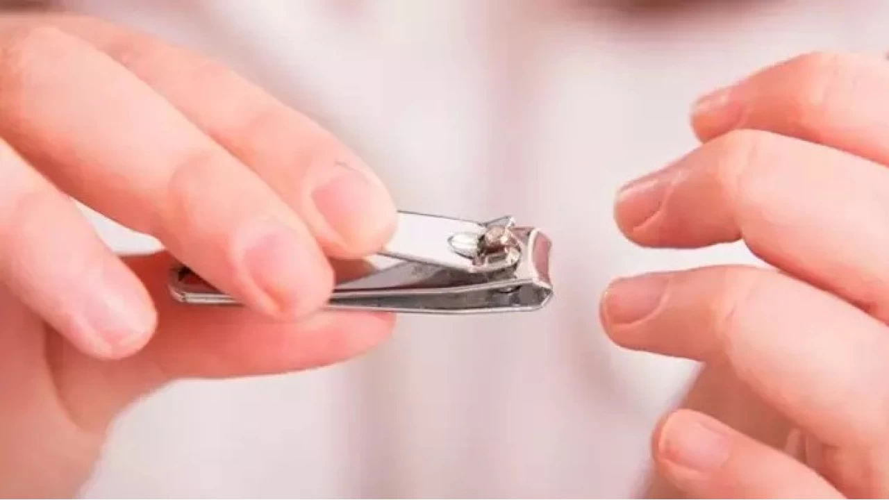 T�rnak kesimi deyip ge�meyin!