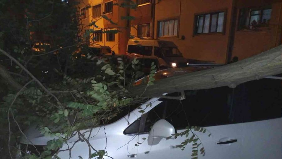 Trabzon'da iddetli rzgar etkili oldu