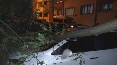 Trabzon'da iddetli rzgar etkili oldu