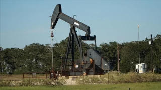 Trump gzn bu servete dikti