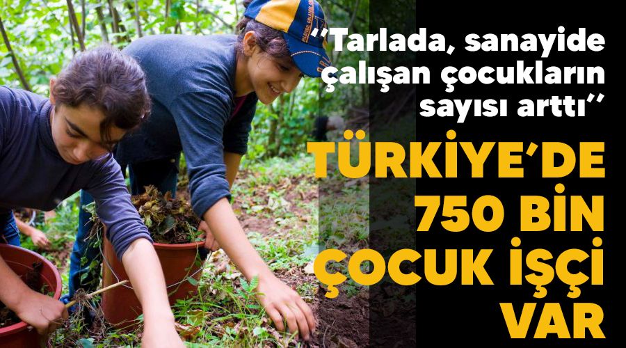 Trkiyede 750 bin ocuk ii var