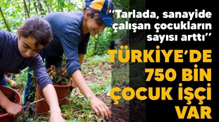 Trkiyede 750 bin ocuk ii var