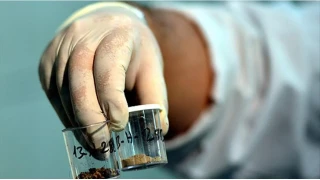    T�rkiye'de b�brek ta�� yayg�n ��nk�...