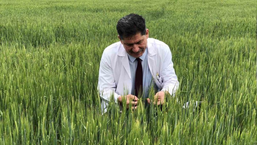 Trkiye'de tarmsal kuraklk riski kalmad