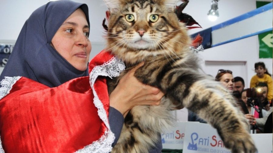 T�rkiye'nin en b�y�k pet fuar� Eyl�l'de Ankara'da ba�layacak