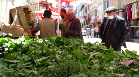 Van'da sebze fidelerine yoğun talep