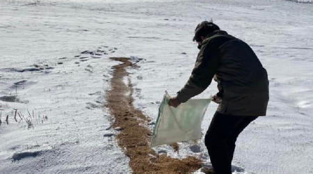 Yaban hayvanları için doğaya yem bırakıldı