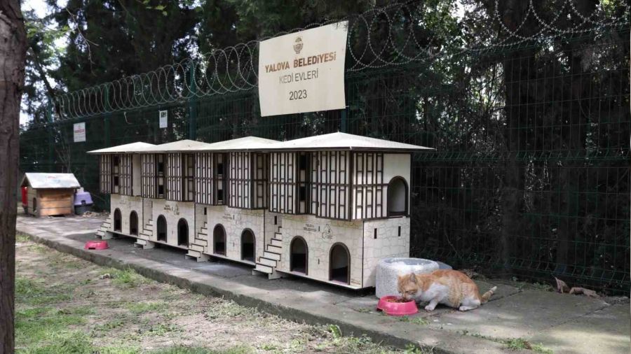 Yalova'da Safranbolu konseptli kedi evleri