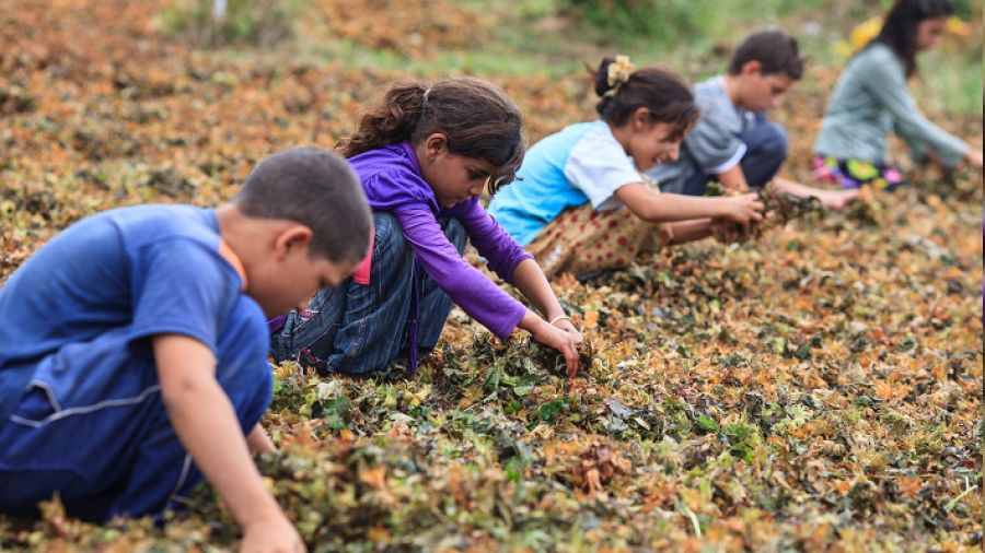 Yoksulluk �ocuklar� tehdit ediyor
