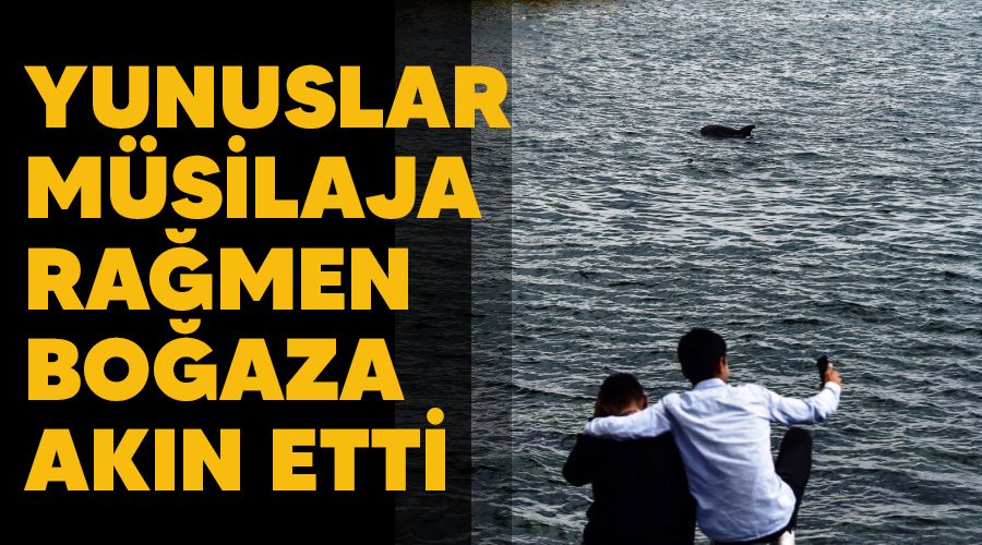 Yunuslar m�silaja ra�men bo�aza ak�n etti