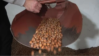 Zirai don fındık fiyatlarını uçurdu