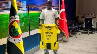 Abdou Aziz Fall, Fenerbahe'de