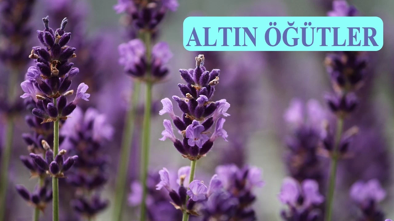 Acelecilik şeytandan, ağırlık Allah’tandır’