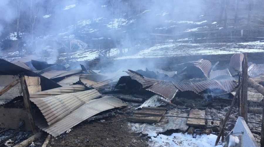 Ah�rda ��kan yang�nda 18 b�y�kba� hayvan telef oldu