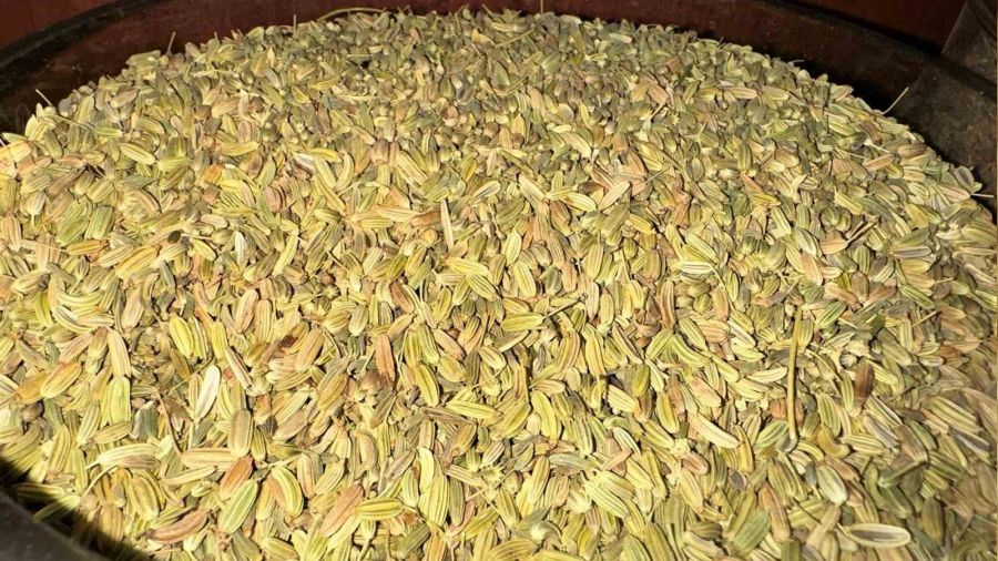 Aktarcılar 'rezene' çayının faydalarını anlattı