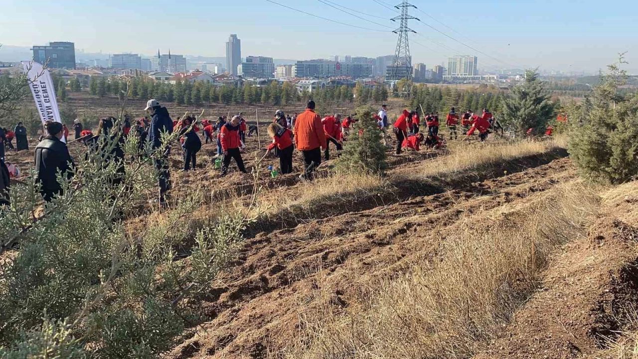 Akut Şehitleri anısına 3 hatıra ormanı