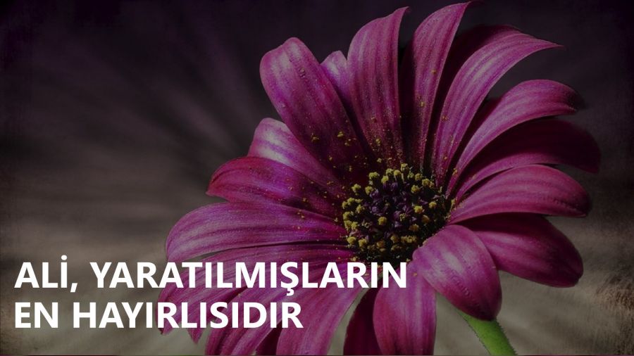 �Ali, yarat�lm��lar�n en hay�rl�s�d�r�