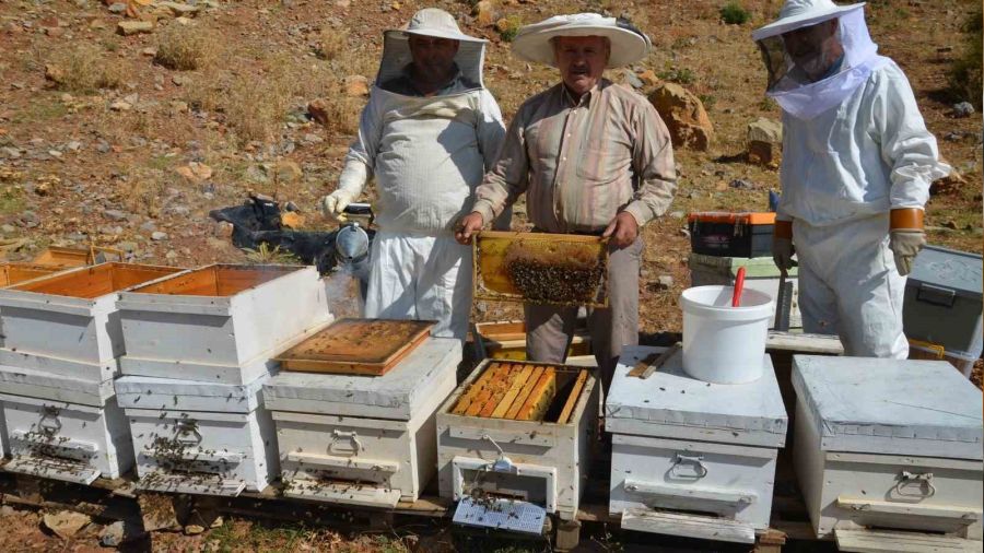 Antalya'da bal rekoltesi d��t�
