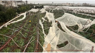 Antalya'da seralar� �nce sa�anak, sonra hortum vurdu