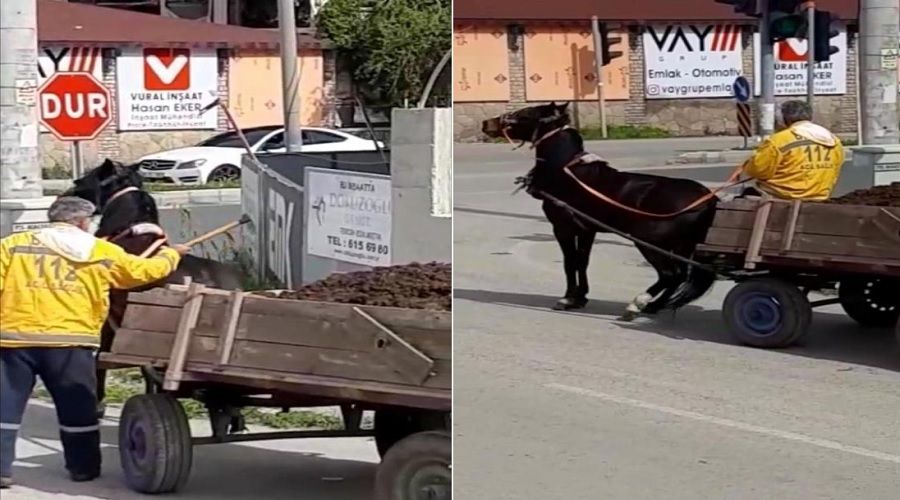 Ata keserli işkence