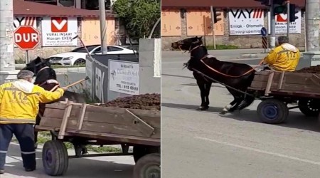 Ata keserli işkence