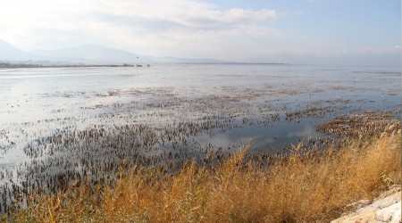 Beyşehir Gölünde su seviyesi azalıyor