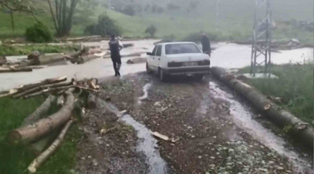 Çankırı'da tarım arazileri zarar gördü