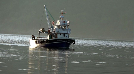 Deniz suyu sıcaklığı düşmeyince balıkçılar eli boş dönüyor