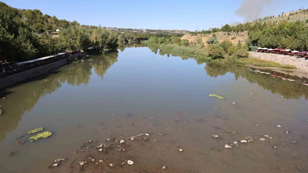 Dicle Nehri'nde balk lmleri grld