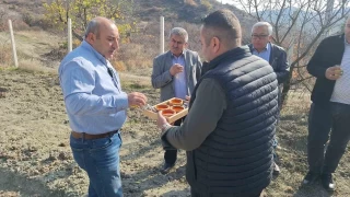 Dünyanın en pahalı baharatını yetiştirdi