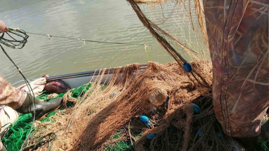 Elaz��'da ka�ak avland��� tespit edilen 100 kilo canl� bal�k ele ge�irildi