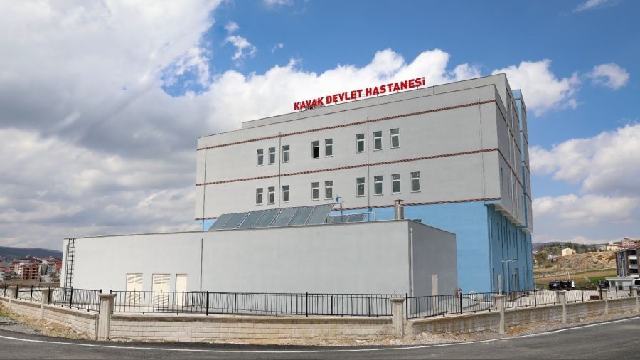Elini arı sokan kız hayatını kaybetti