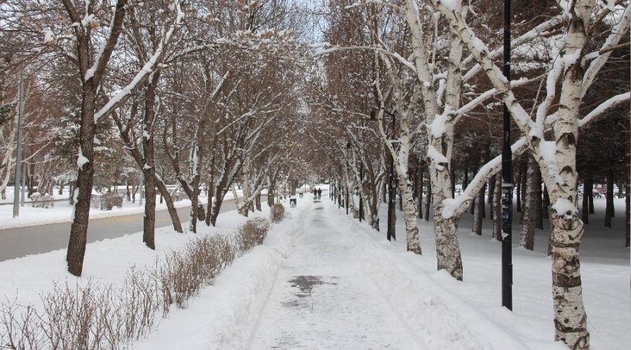 Erzurum'da Mart kap�dan bakt�rd�