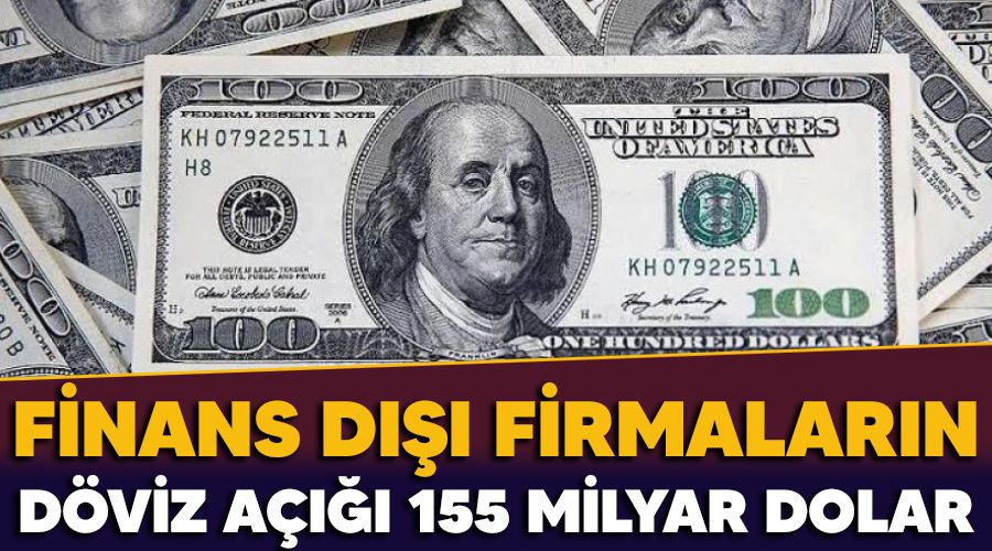 Finans dışı firmaların döviz açığı 155 milyar dolar