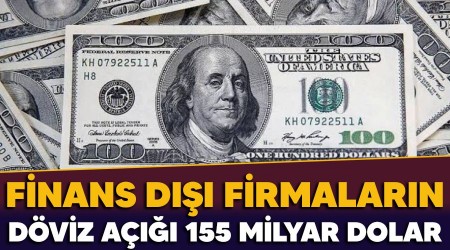 Finans dışı firmaların döviz açığı 155 milyar dolar