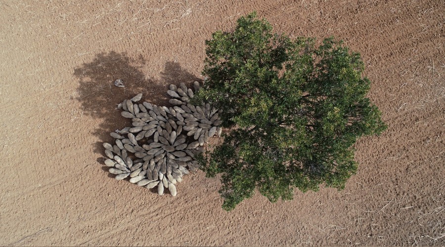 G�n�n en �arp�c� foto�raf�