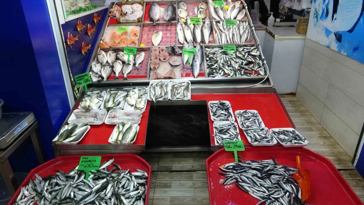 Hamsi bolluu av basks oluturdu