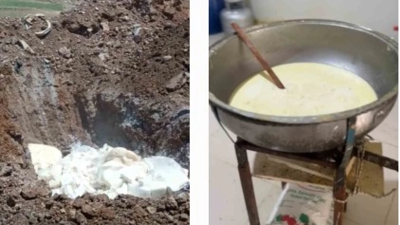 Hatay'da yarım ton süt ve süt ürünü imha edildi